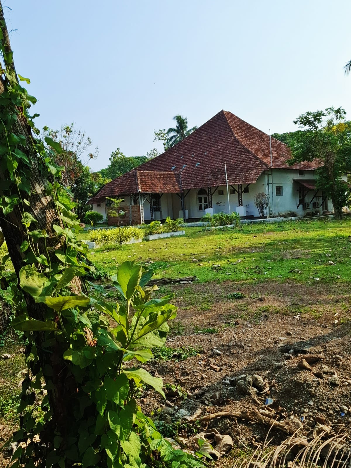 Rural House